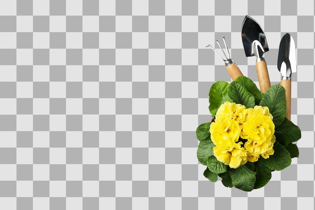 Gartenwerkzeuge sitzen neben leuchtend gelben Blumen in einer ruhigen Anordnung, die auf weißem PNG isoliert ist