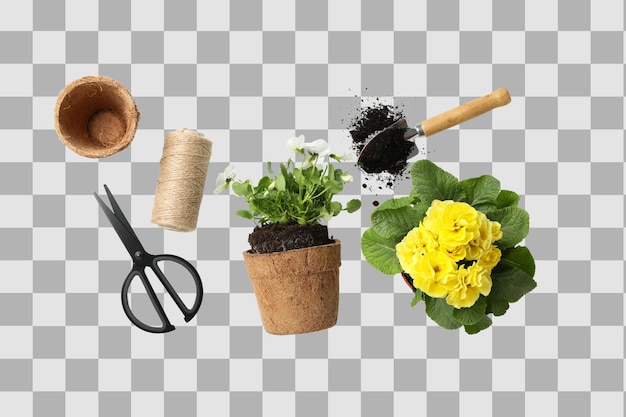 Gartenwerkzeuge und helle Blumen auf weißem Hintergrund, isoliert auf weißem PNG