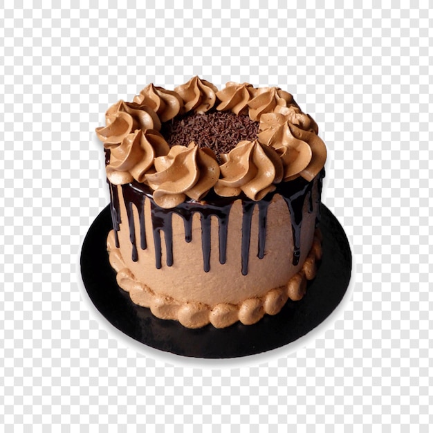 Gâteau au chocolat avec glaçage au chocolat et gouttes