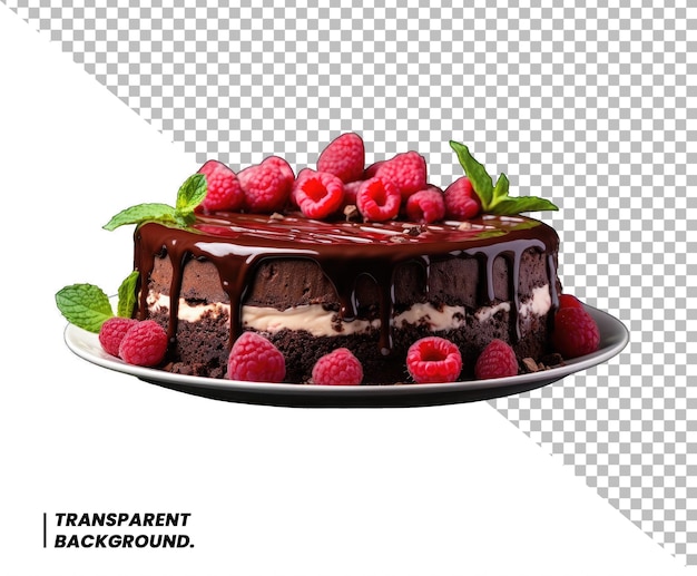 Gâteau Aux Baies Et Choco Sur Fond Transparent