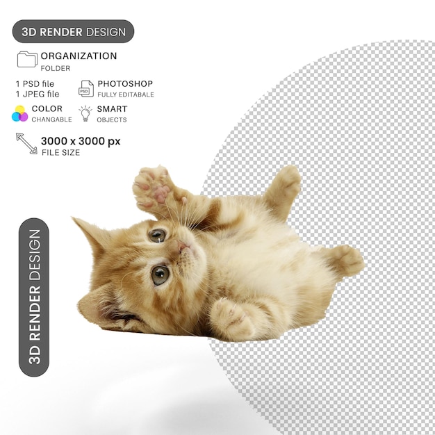 Gatinho bonito a brincar PSD