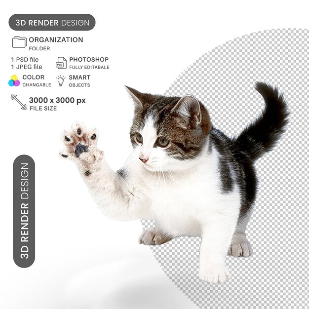 Gatinho encantador PSD