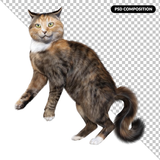 PSD gato animal aislado 3d