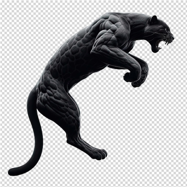 PSD un gato negro con una cola negra se muestra sobre un fondo blanco