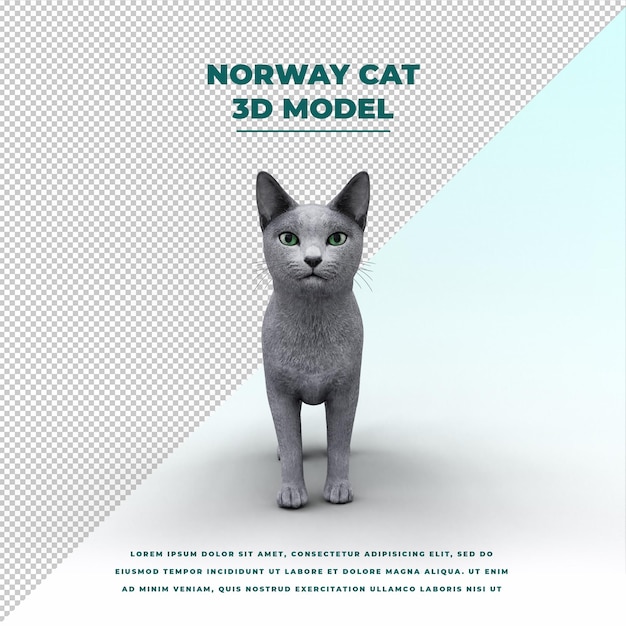 Gato de noruega