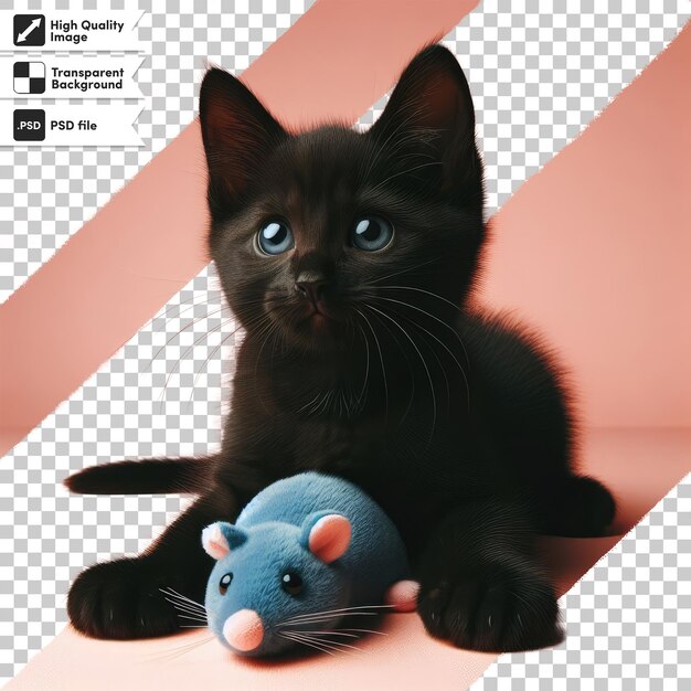 Gato preto psd com brinquedo de rato em fundo transparente