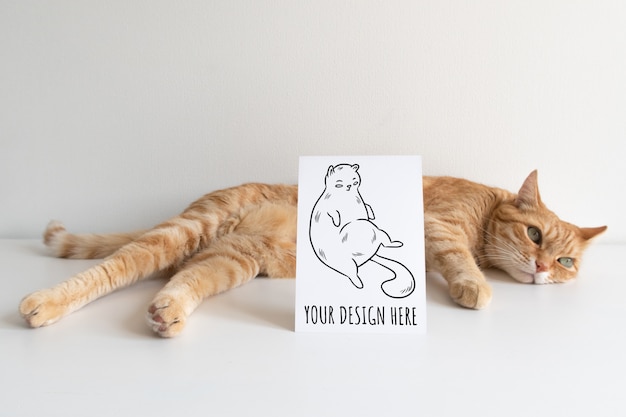 Gato ruivo com cartão postal