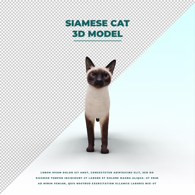 gato siamés