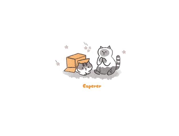 gatto carino