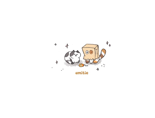 gatto carino