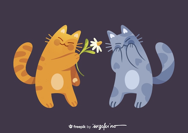 Gatto marrone che dà fiore al gatto grigio