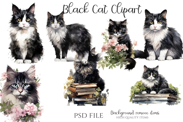 Gatto nero illustrazioni clipart acquerello gatto nero
