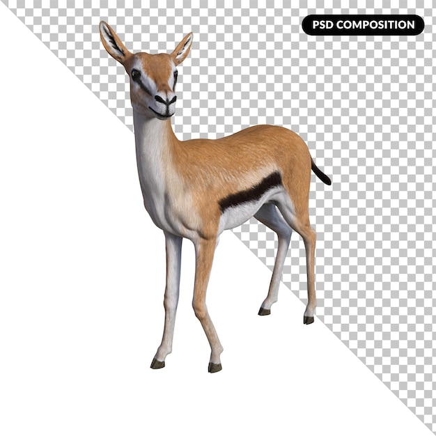 PSD gazelle animal isolé en 3d