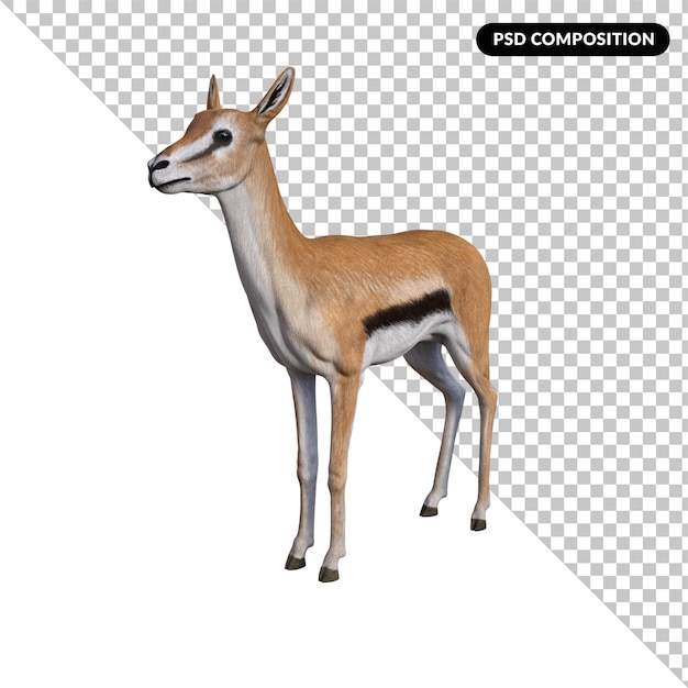 Gazellentier isoliert 3d