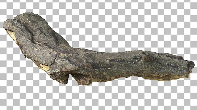 gebrochene und beschädigte Baumzweige fallen
