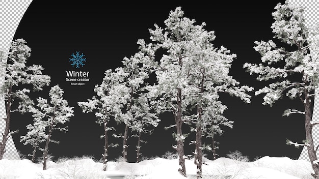gefrorener See, umgeben von schneebedeckten Bäumen in einem hellen Winter. Verschiedene Winterbäume entwerfen isolierten Beschneidungspfad