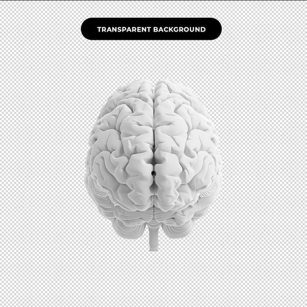 PSD gehirn-technologie digitale gehirn-intelligenz digitale menschliche künstliche intelligenz gehirn-brain-technologie