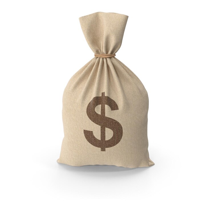 PSD geldtasche mit dollarzeichen finanzkonzept
