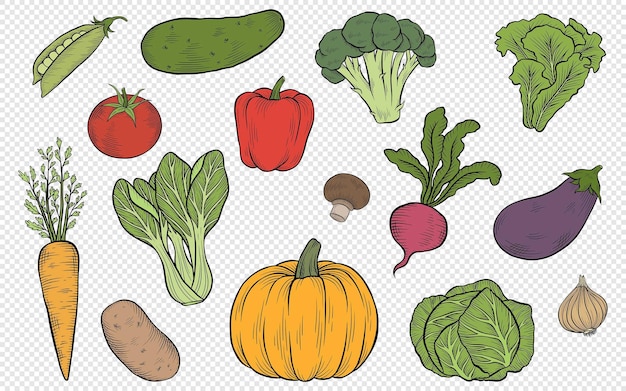 PSD gemüse clipart illustrationen