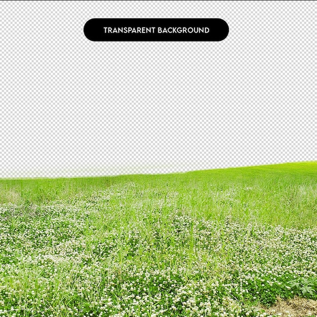 Gemüsepflanzer mit durchsichtigem Hintergrund für den Garten