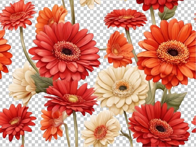 PSD gerbera daisy blume png isoliert auf durchsichtigem hintergrund