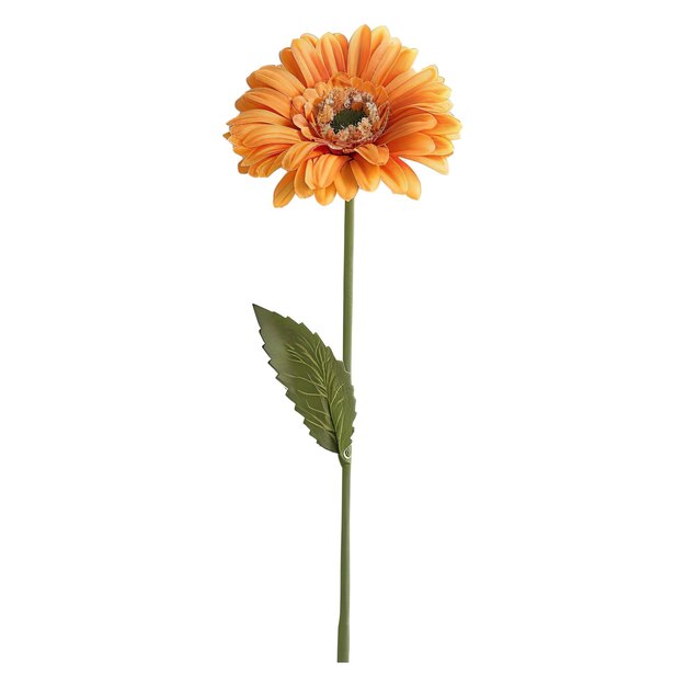 PSD gerbera sencilla