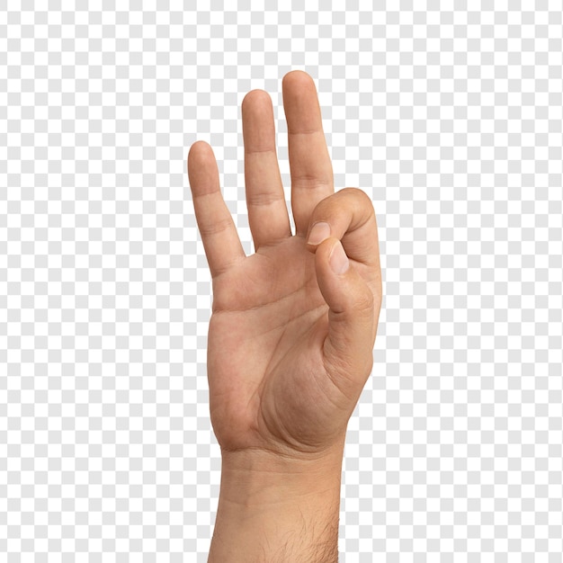 Geste de langue des signes isolé sur blanc isolé sur fond transparent