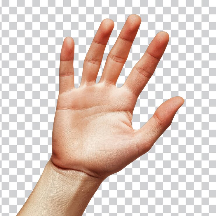 PSD gesto de la mano para la comunicación en fondo blanco fondo png transparente