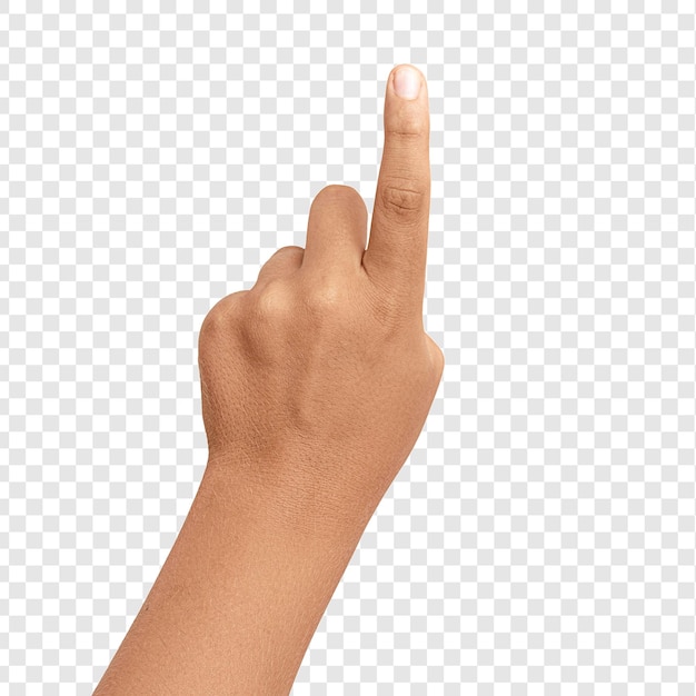 Gesto de la mano del lenguaje de señas con espacio de copia
