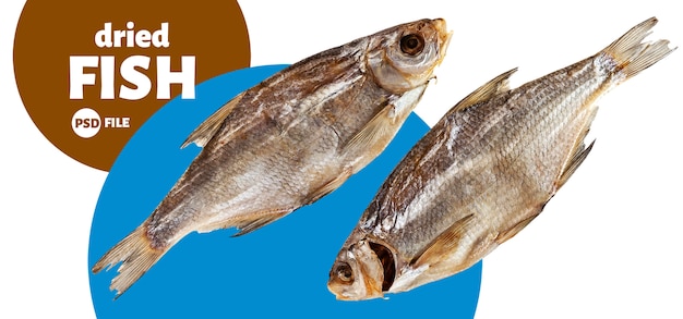 Getrockneter Fisch isoliert auf Weiß