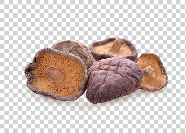 PSD getrockneter shiitake-pilz isoliert auf weißem hintergrundphoto premium psd