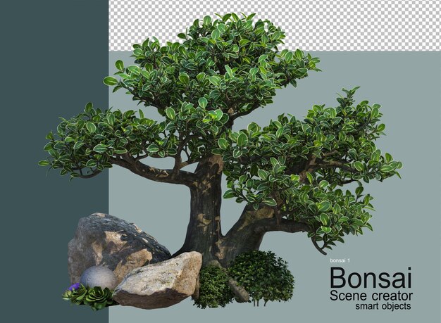 Giardino di bonsai con pietre decorative