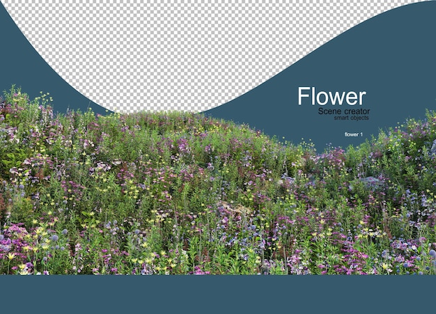 Giardino di tanti fiori colorati che crescono sull'erba