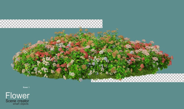 Giardino fiorito colorato in un piccolo giardino