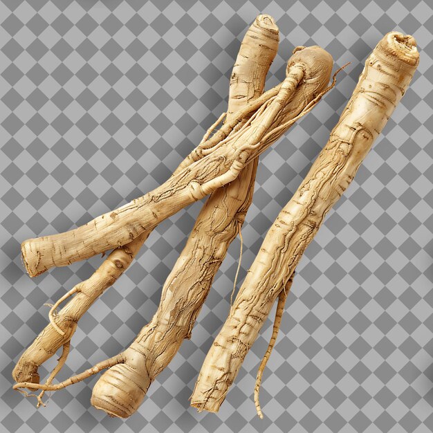 Ginseng blanc Type d'herbe Panax Ginseng Forme d' herbe Séché Objet isolé sur un fond propre