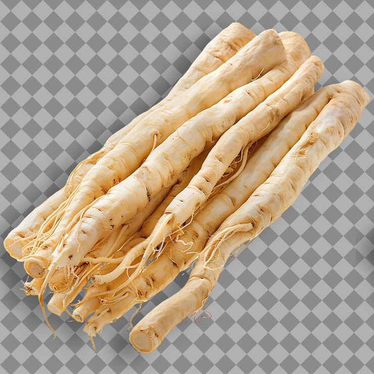PSD ginseng blanco tipo de hierba panax ginseng forma de hierba secado objeto aislado en fondo limpio