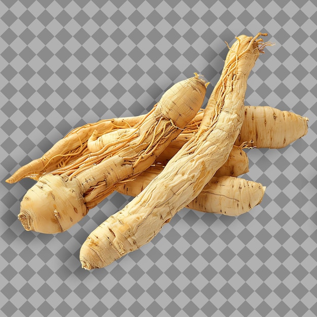 Ginseng blanco Tipo de hierba Panax Ginseng Forma de hierba secado Objeto aislado en fondo limpio