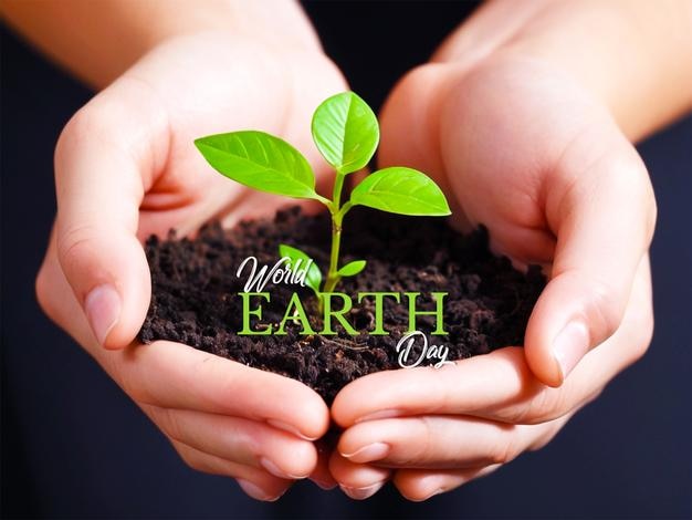 Giornata mondiale dell'ambiente con le piante che crescono nelle mani