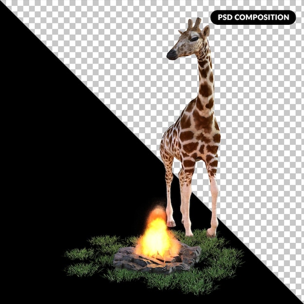 PSD girafa com grama isolada renderização 3d