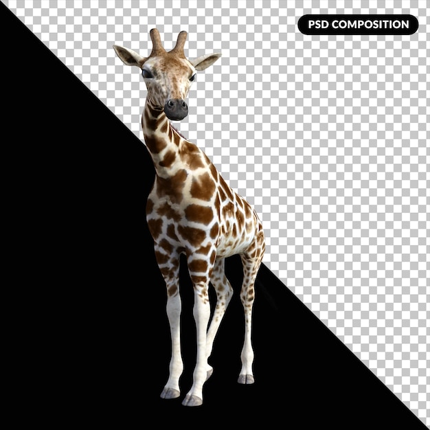 PSD girafe animal isolé en 3d