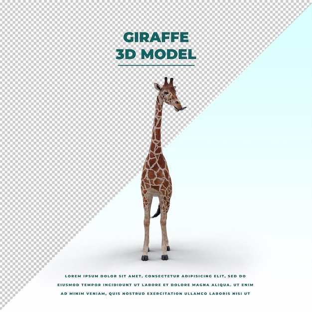 Girafe