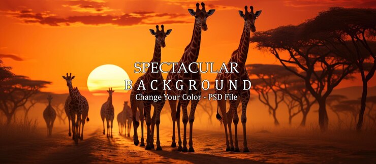 PSD giraffes silhouetted against vibrant sunset in african savanna