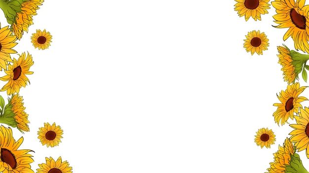 girasole di frontiera