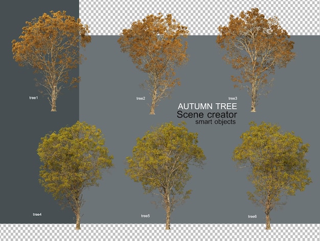 Gli alberi autunnali hanno foglie arancioni