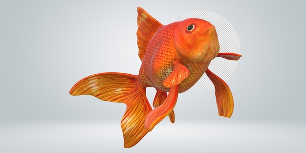 Gold Fish isolated on a Transparent Background