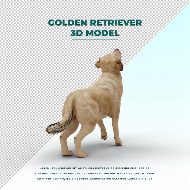 PSD golden retriever