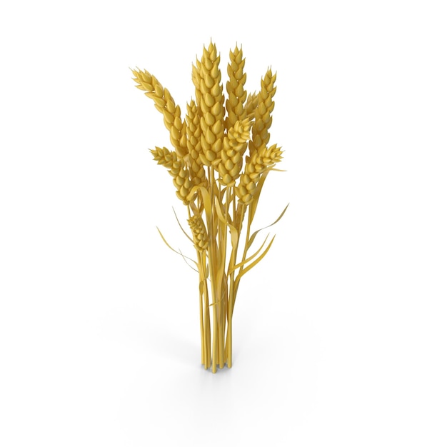 Goldene Weizenkörner auf weißem Hintergrund