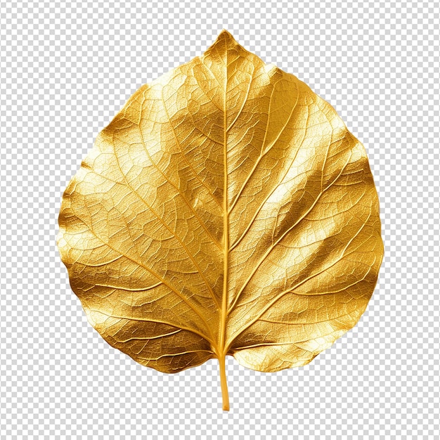 Goldenes blatt auf einem durchsichtigen hintergrund png