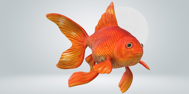 Goldfische auf durchsichtigem Hintergrund