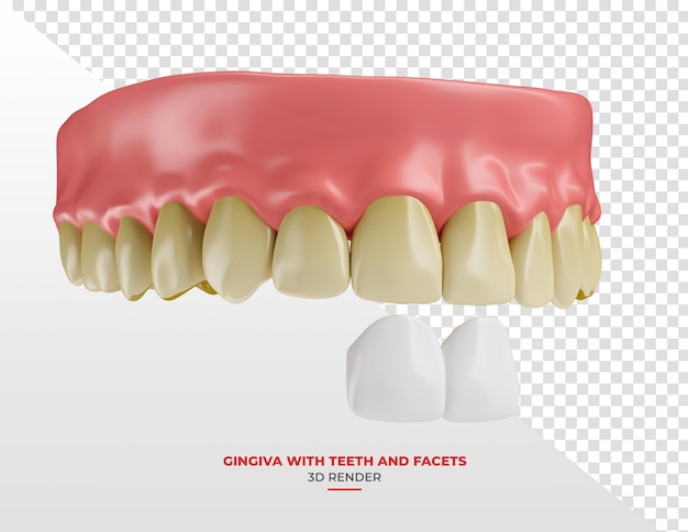 PSD goma con dientes amarillos y chapa en renderizado 3d con fondo transparente